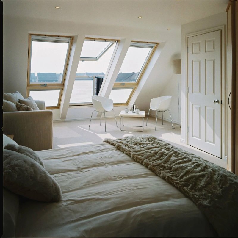 The attic bay window Velux