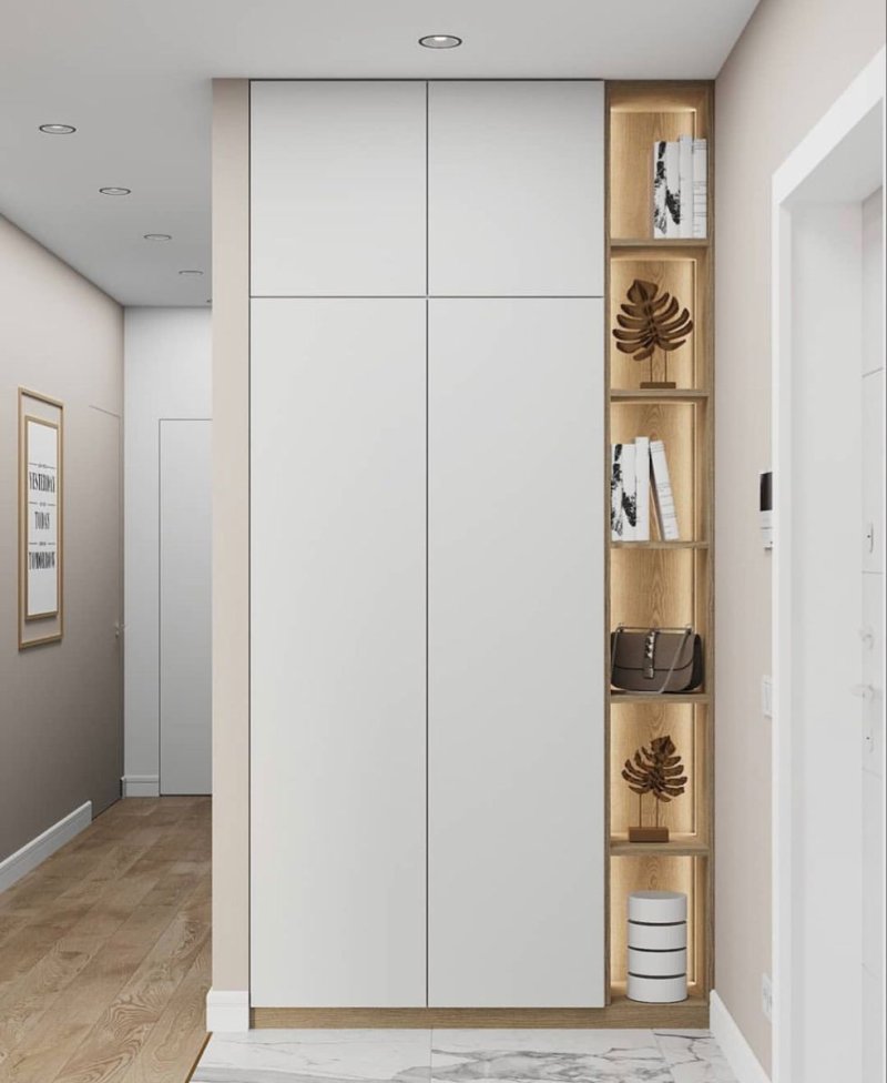 Wardrobe in the hallway in the style of minimalism