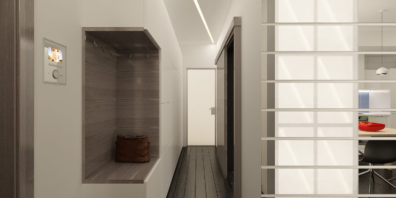 Wardrobe in the hallway in the style of minimalism