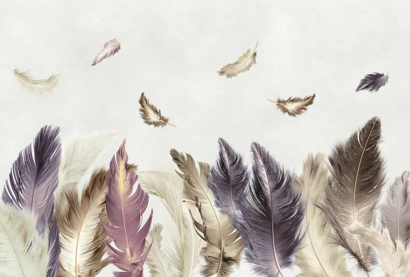 Wallpaper feather