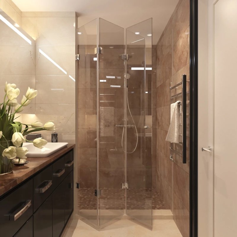 Glass partition in shower