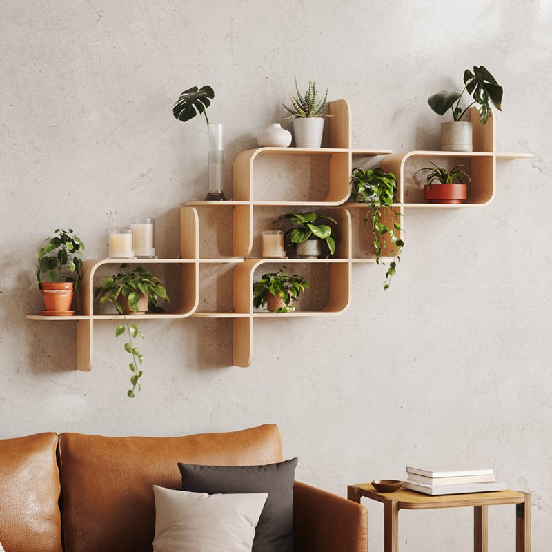 Shelves on the wall