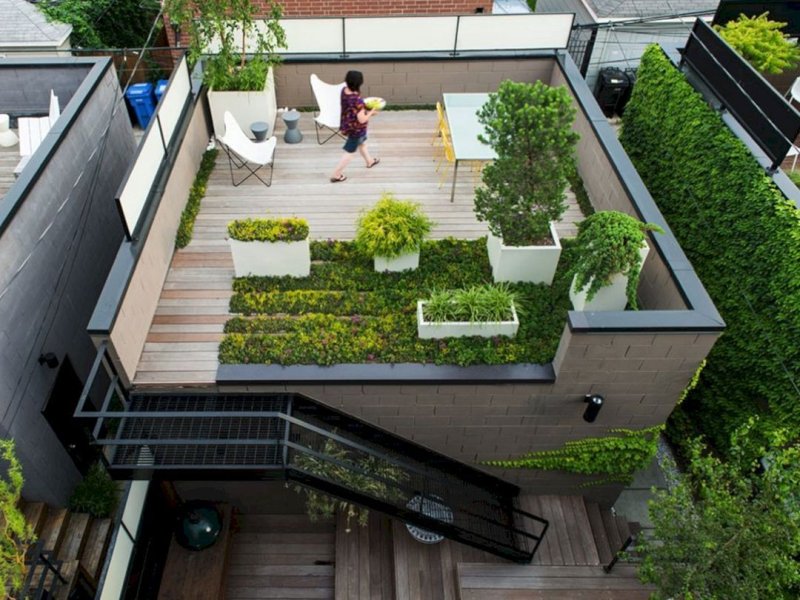 Operated flat roof Green Roof