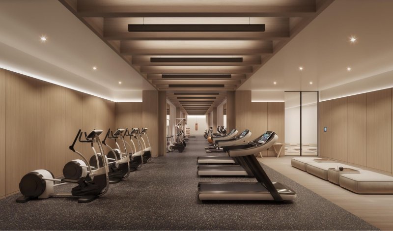 The design of the gym