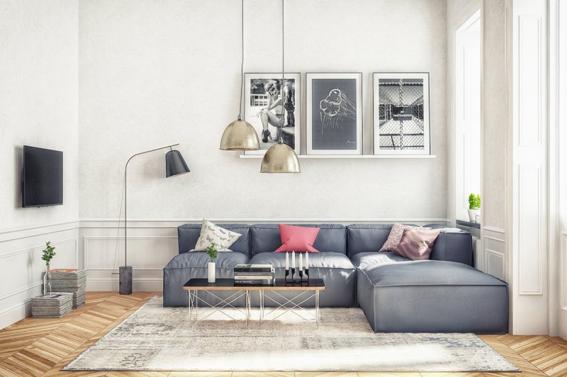 Scandinavian style living room