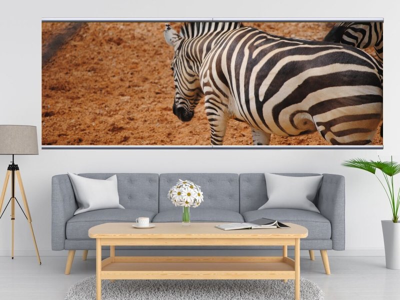 Picture of Zebra Ikea