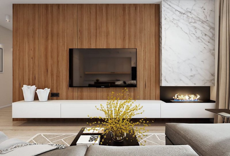 Living room with a bio -rock in a modern style