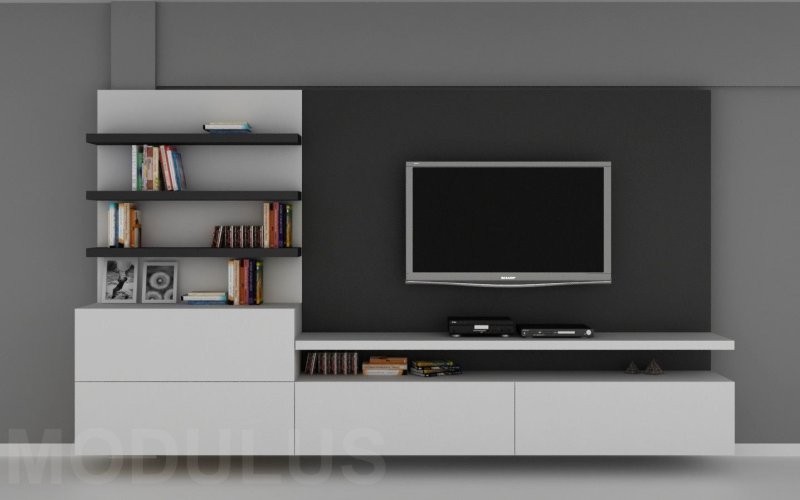 Living cabinets in a modern style