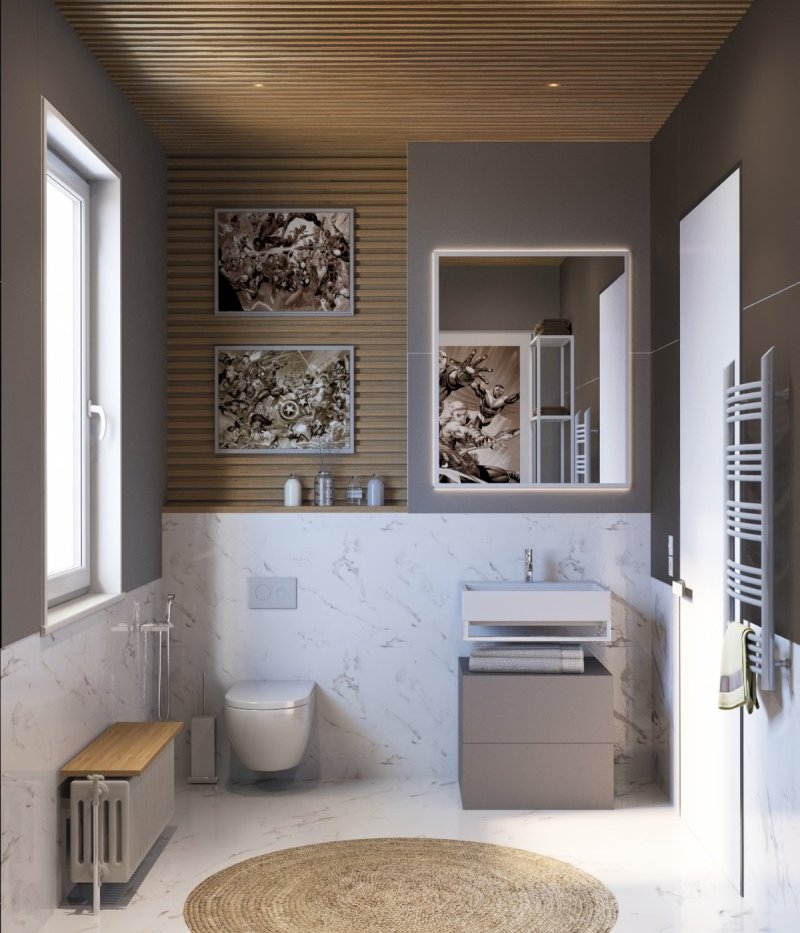 The interior of the guest bathroom