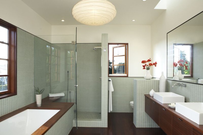 Bathroom interior with shower