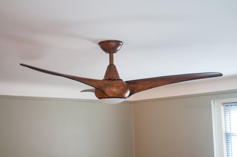 Ceiling fan