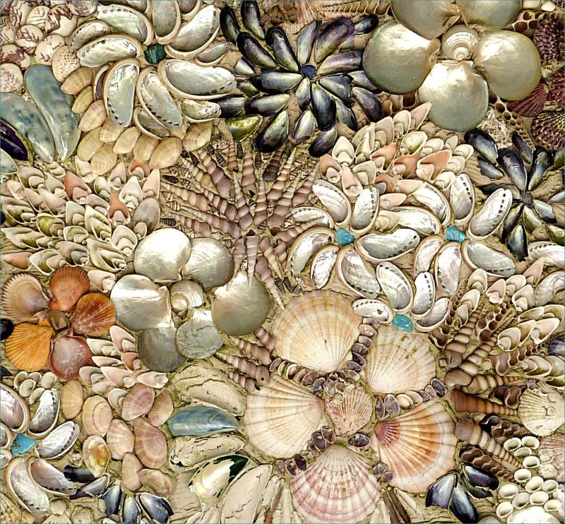 Panel with shells