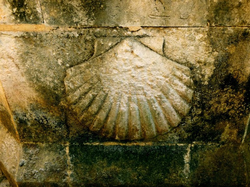 Shell a sea scallop Path of Santiago