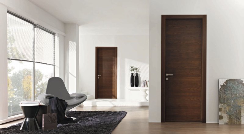 Doors in a modern interior