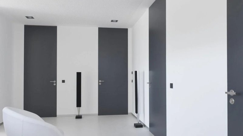 Interior doors in the style of minimalism