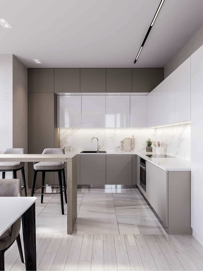 Minimalism style kitchens