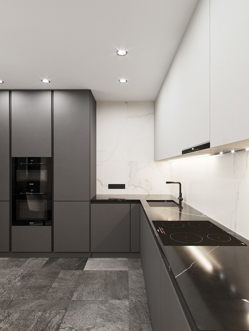 Minimalism style kitchens