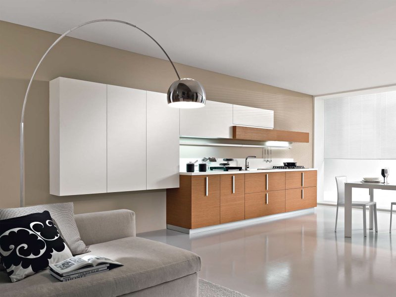 Kitchen in a modern style