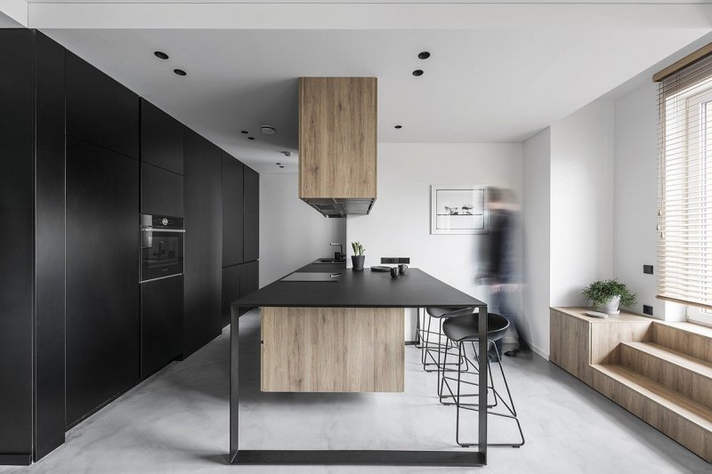 Minimalism style kitchens