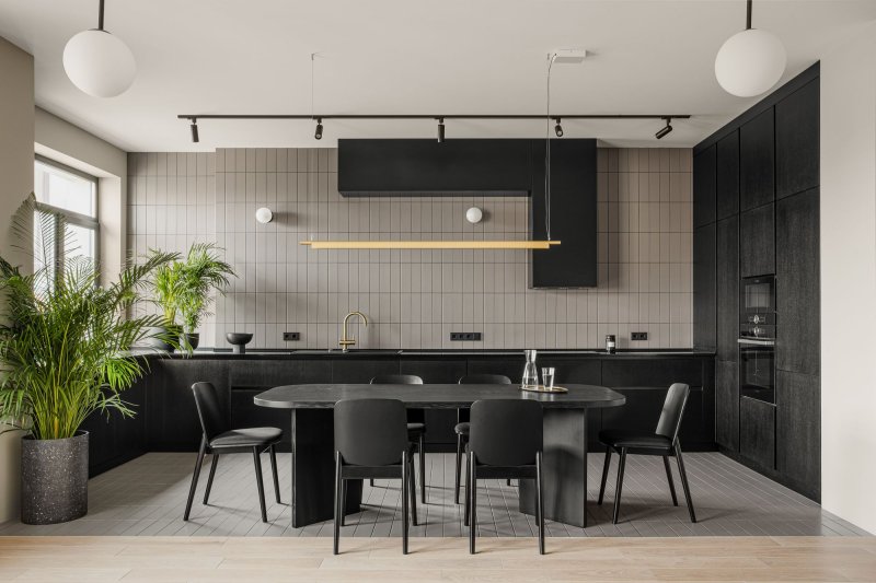 Minimalism style in the interior of the kitchen