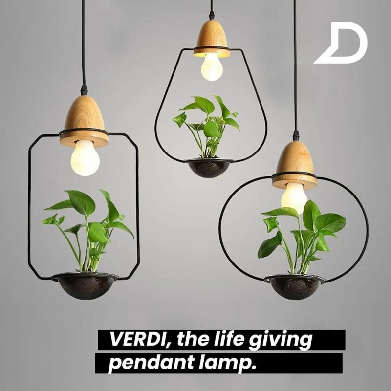 Pendant Lighting (Hanging Light) Suspect