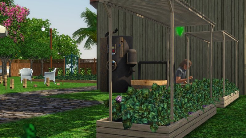 Sims 3 Garden