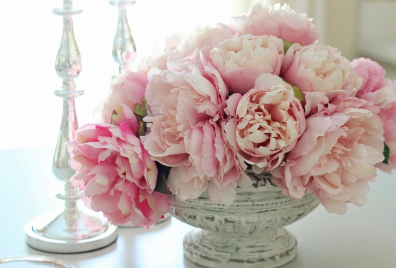 Pink -like peonies