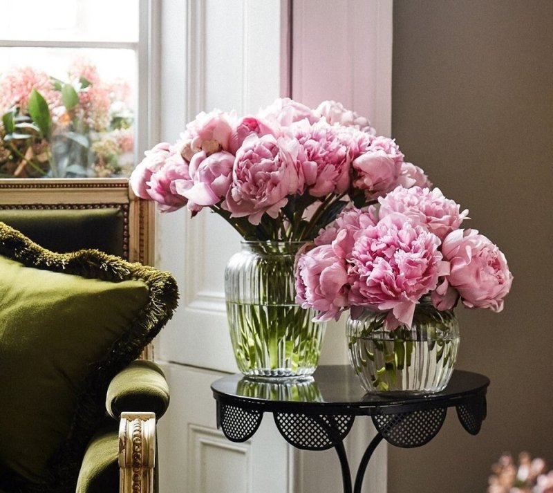 Peony in a vase