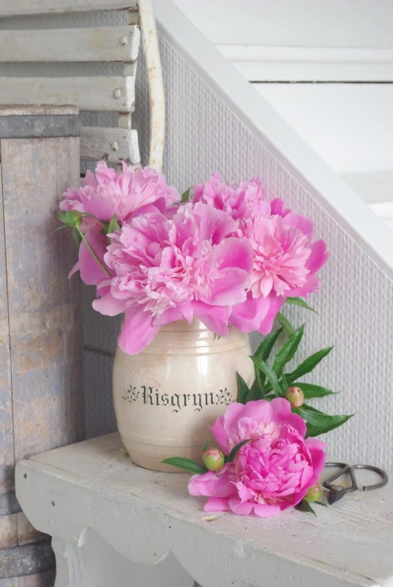 Shebby chic peonies