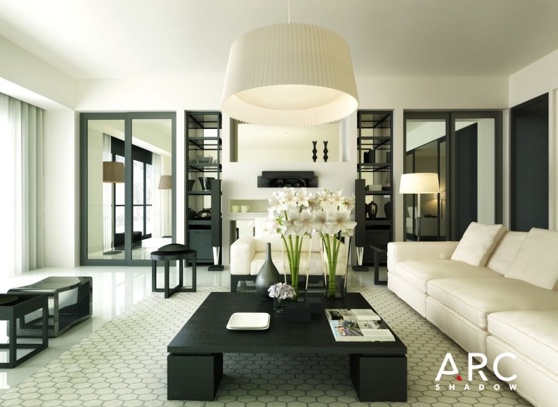 Black white living room design