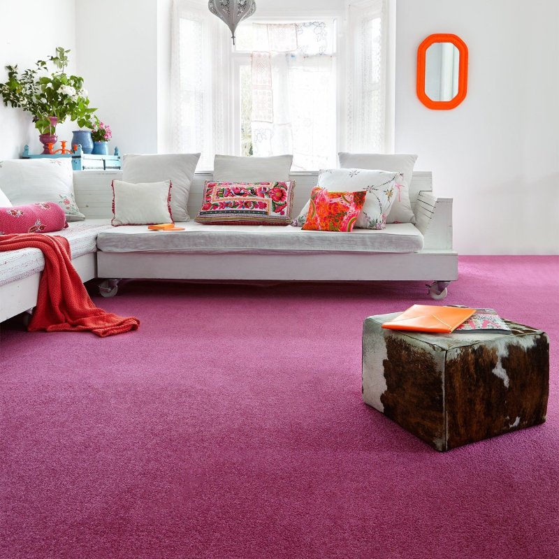 Carpet in the interior of the living room