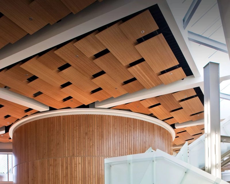 Cubated rack ceiling