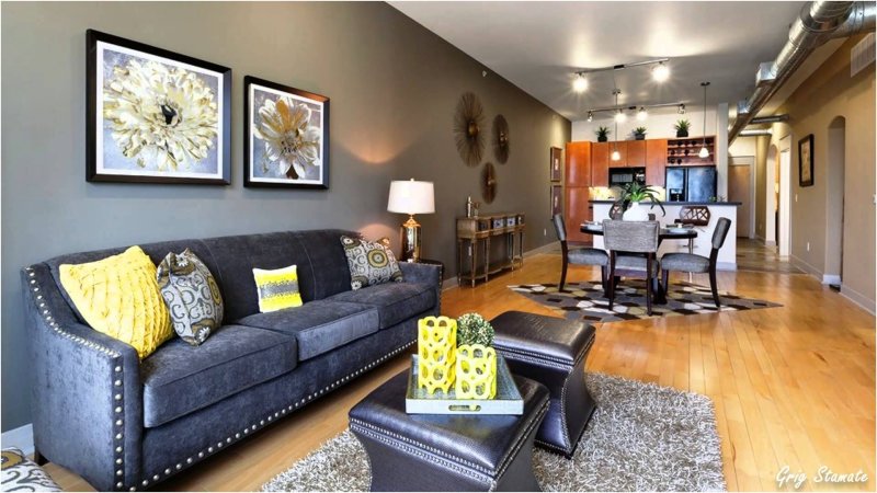 Living room with a gray sofa