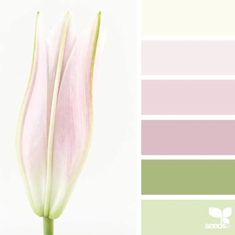 Pastel colors of the palette