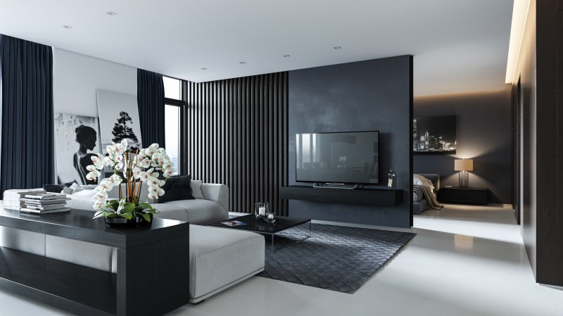 Living room in black white style modern