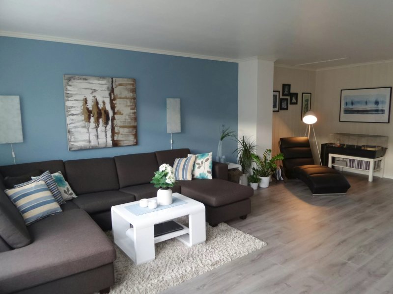 Blue walls in the interior of the living room