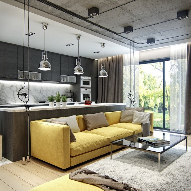 Kitchen living room in loft style