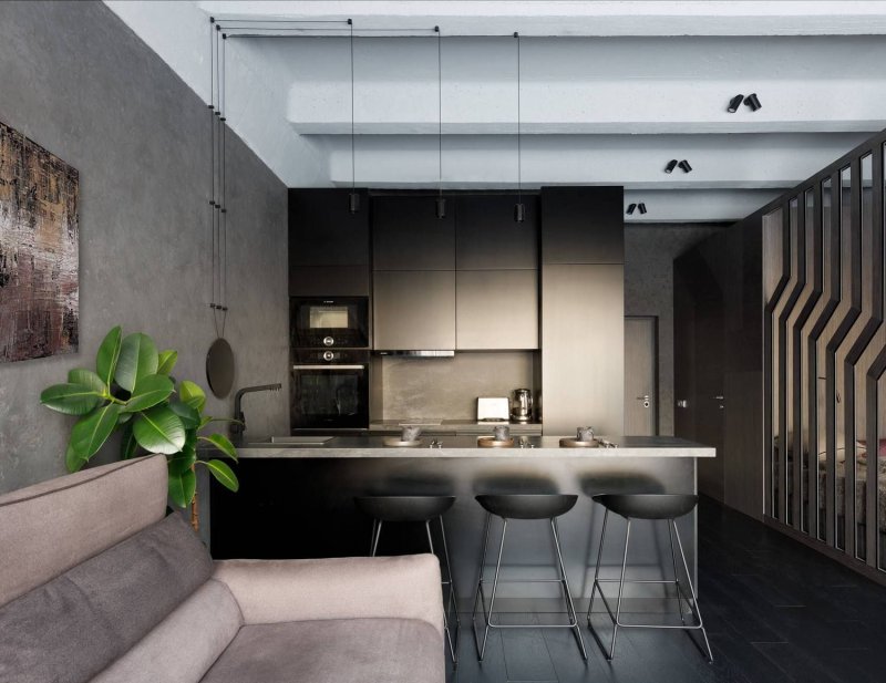 Kitchen interior in a modern style