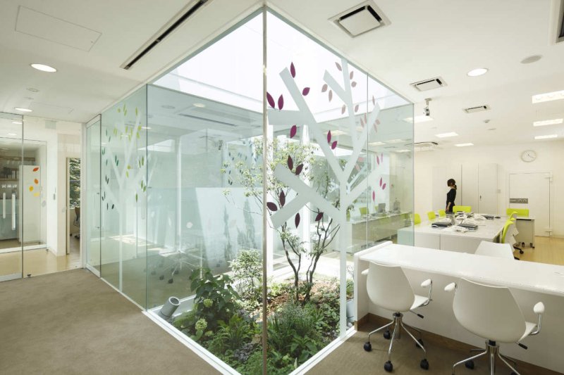 Glass partitions Office