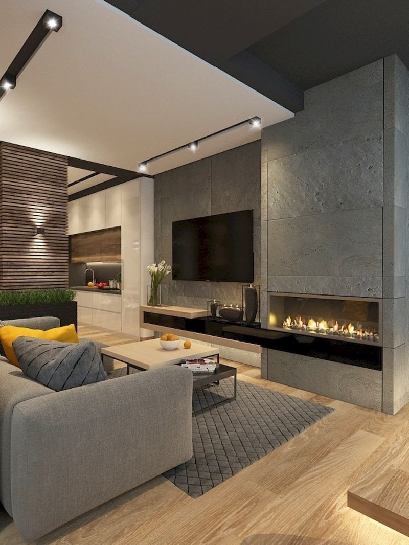 Living room with a bio -rock in a modern style