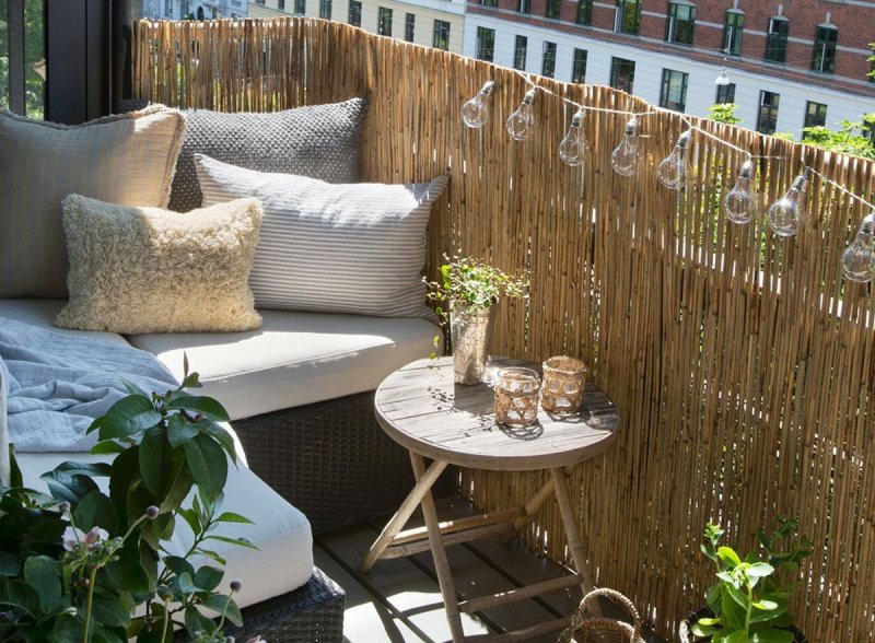 Bamboo on the balcony