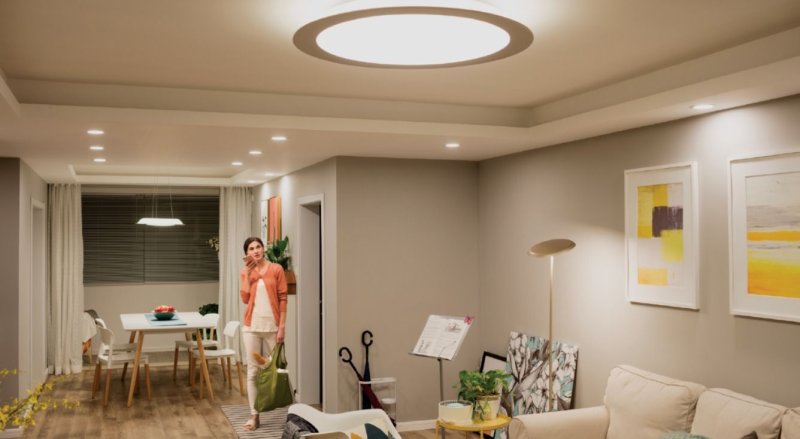 Mi Smart Led Ceiling Light (450mm)