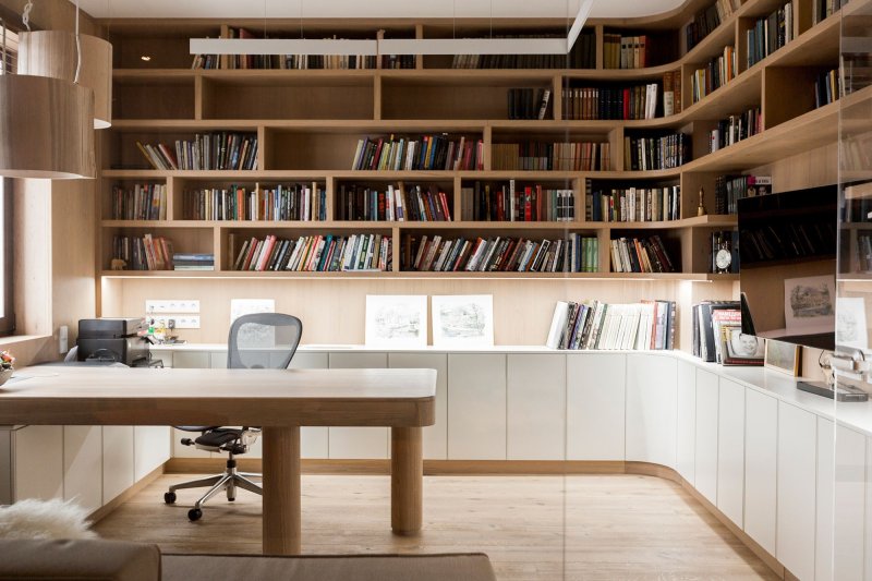 Library in the House Interior