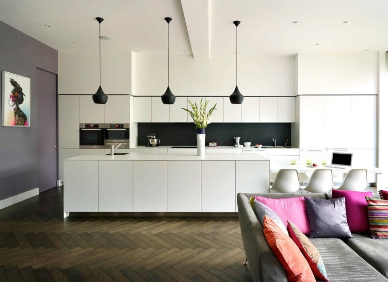 Kitchens living rooms in a modern style