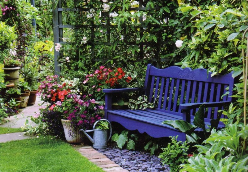 A bench in the garden