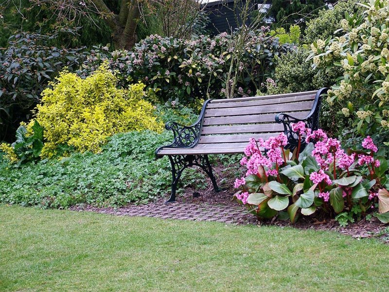 Shop flower beds shady garden