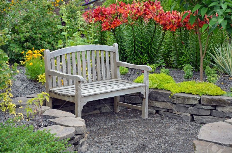 A bench in the garden