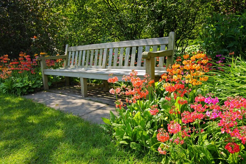 Bench Garden Garden