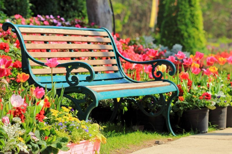 A bench in the garden