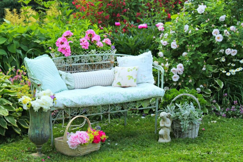 A bench in the garden